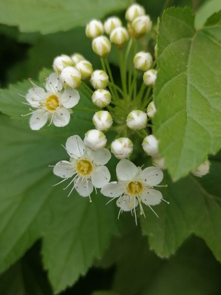 Photograph by Татьяна