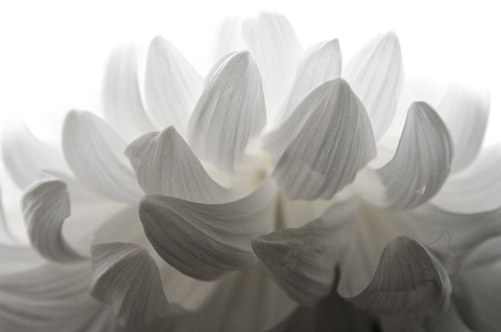 Photograph by Ирина