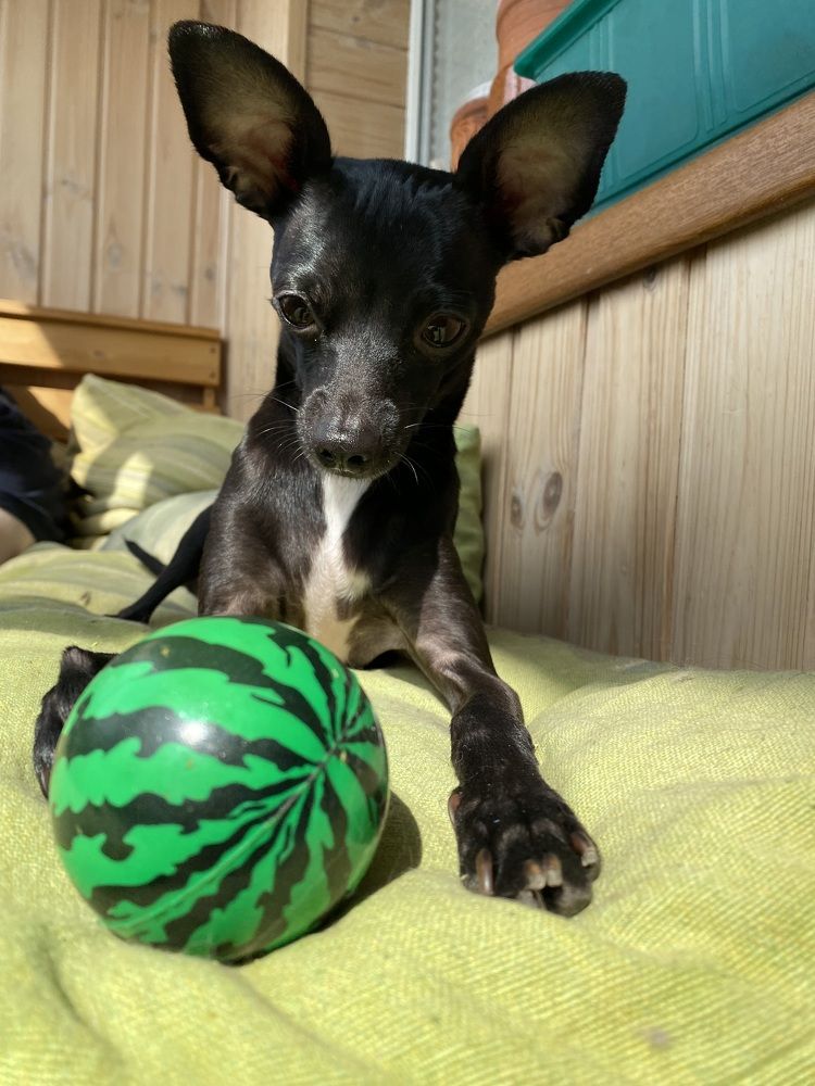 Photograph by Анна Панеева