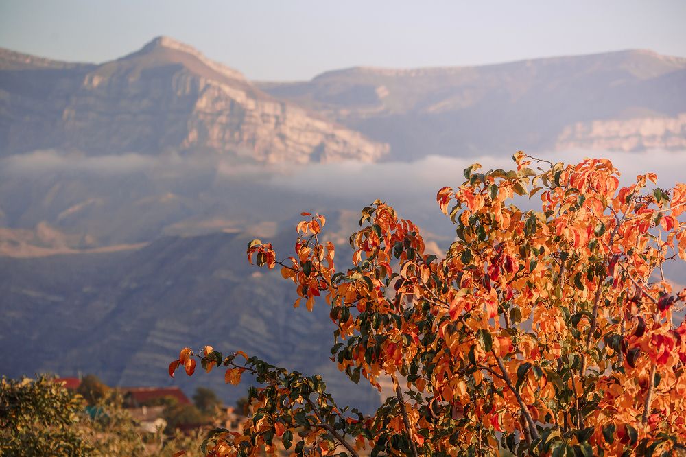 Photograph by Елена Тульчинская