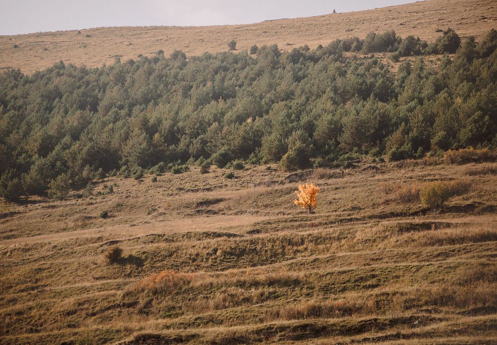 Photograph by Елена Тульчинская