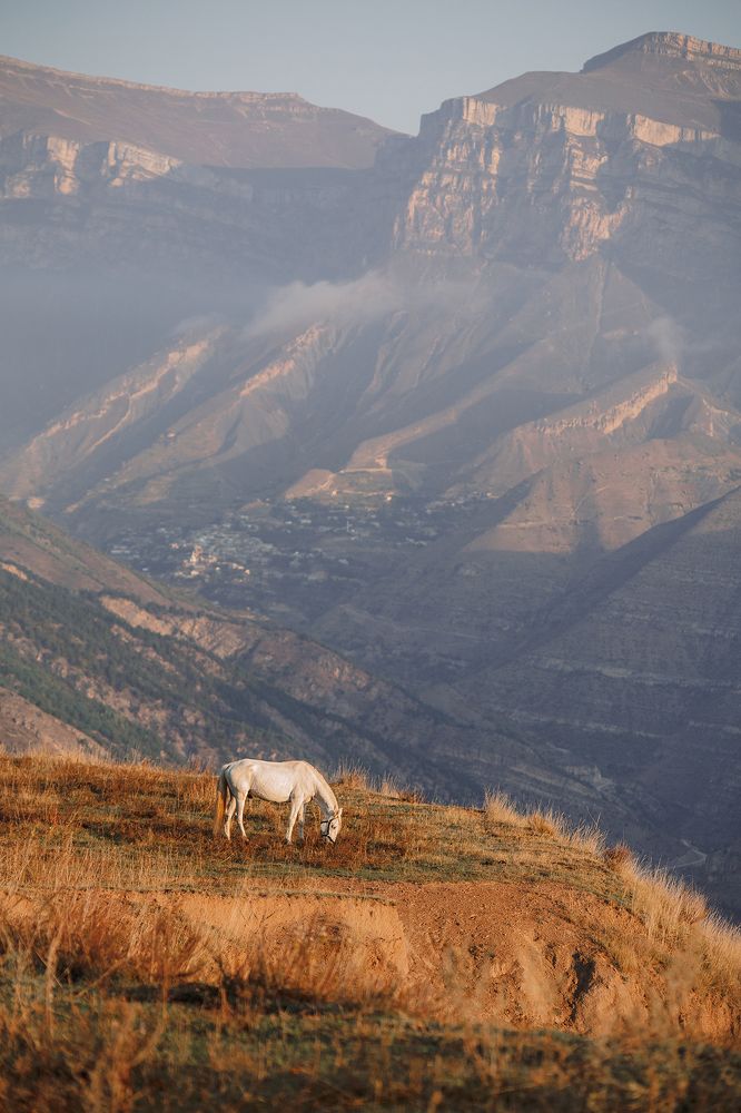 Photograph by Елена Тульчинская