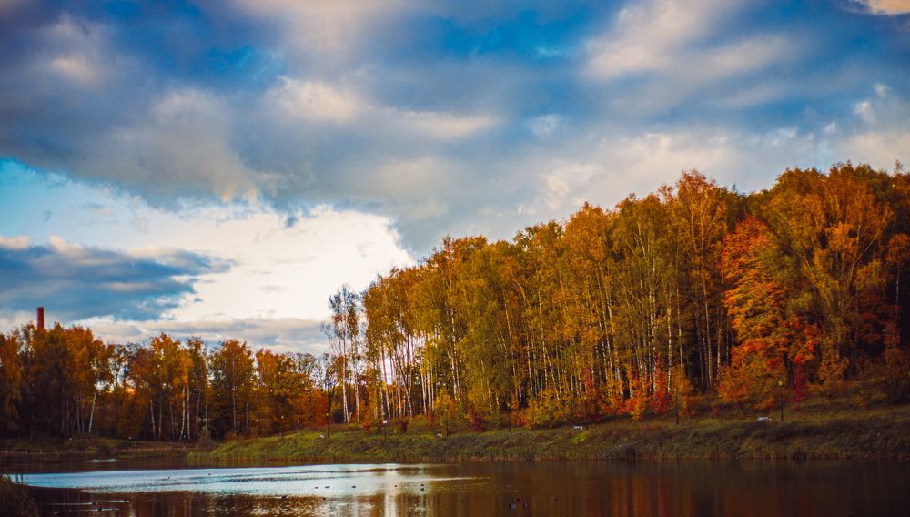 Фотография автора Светлана Сергеевна
