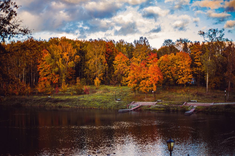 Фотография автора Светлана Сергеевна