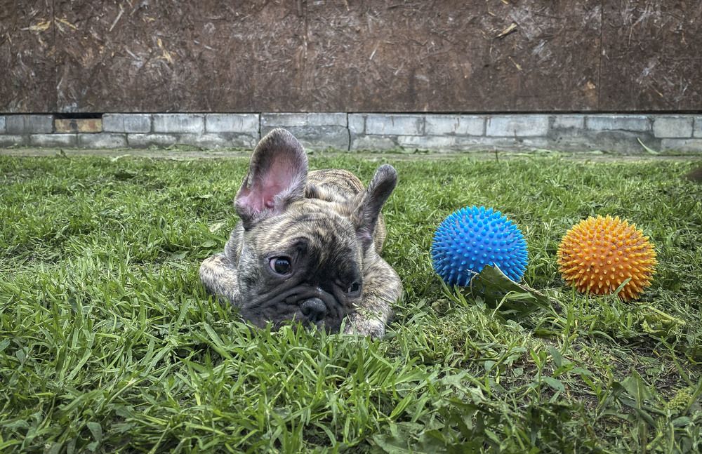 Photograph by Анна Панеева