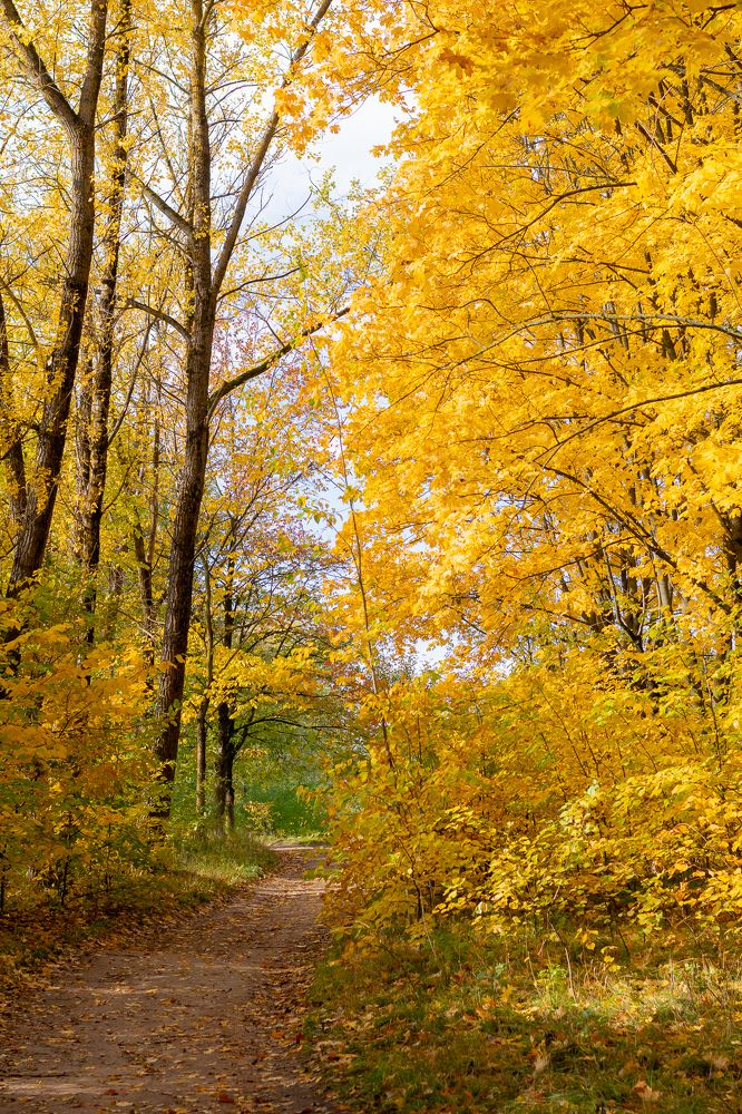 Photograph by Елена гуринович