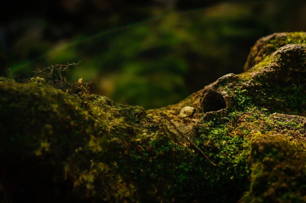 Photograph by Любовь Родина