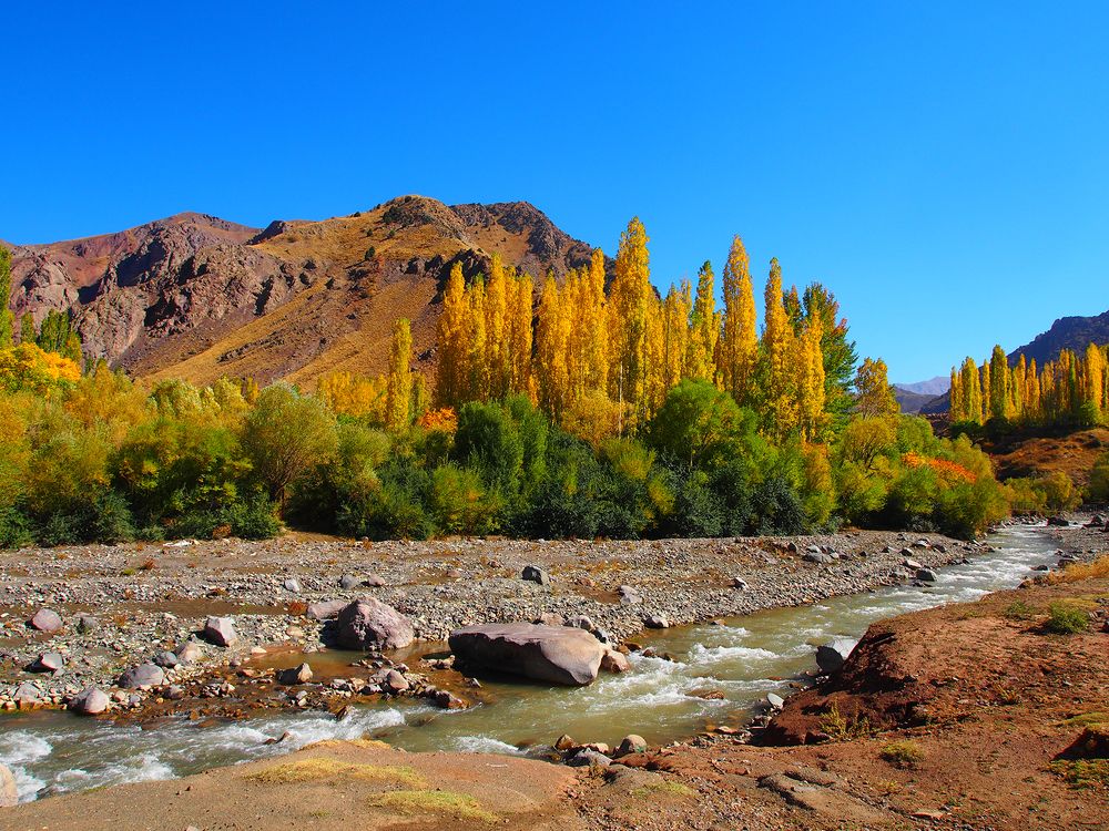 Photograph by Farid Ataei