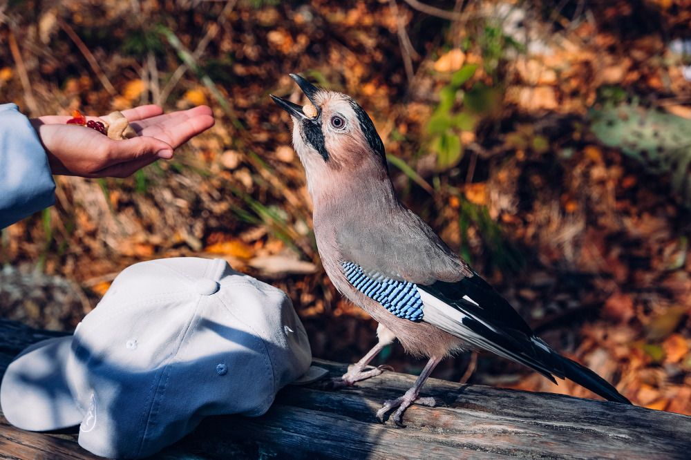 Photograph by Marina M