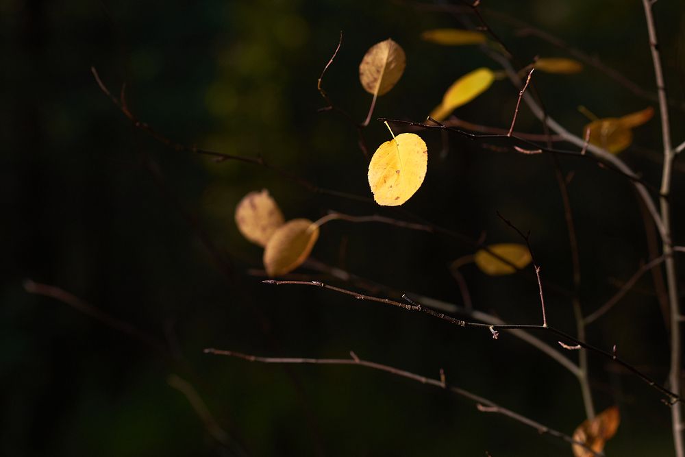 Photograph by Мостовой Дмитрий