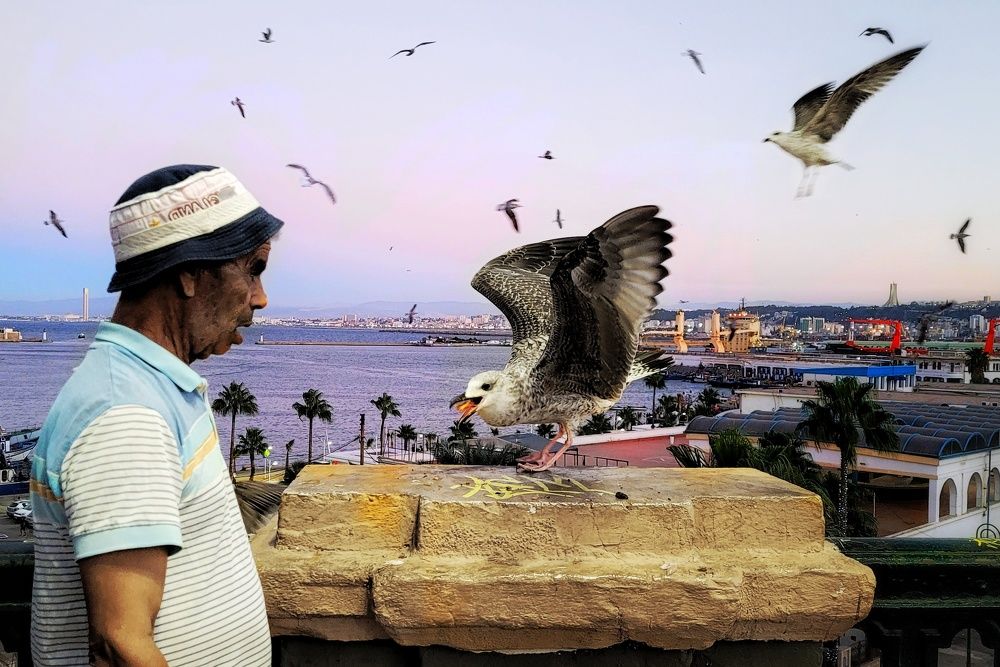 Photograph by Abderahim Salhi