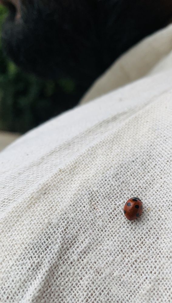 Photograph by Saurabh