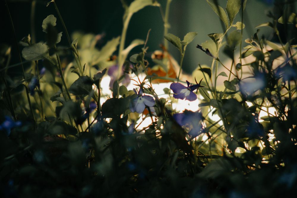 Photograph by Дмитрий Синицын