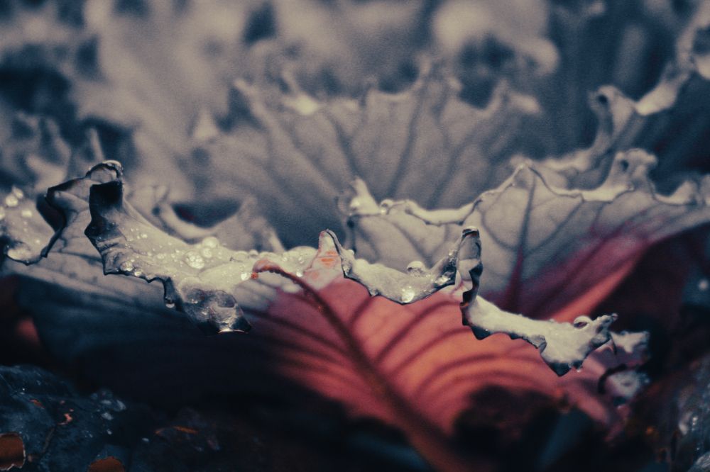 Photograph by Дмитрий Синицын