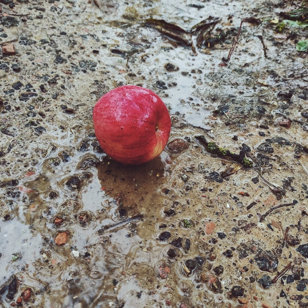 Фотография автора Catherine Shashkova