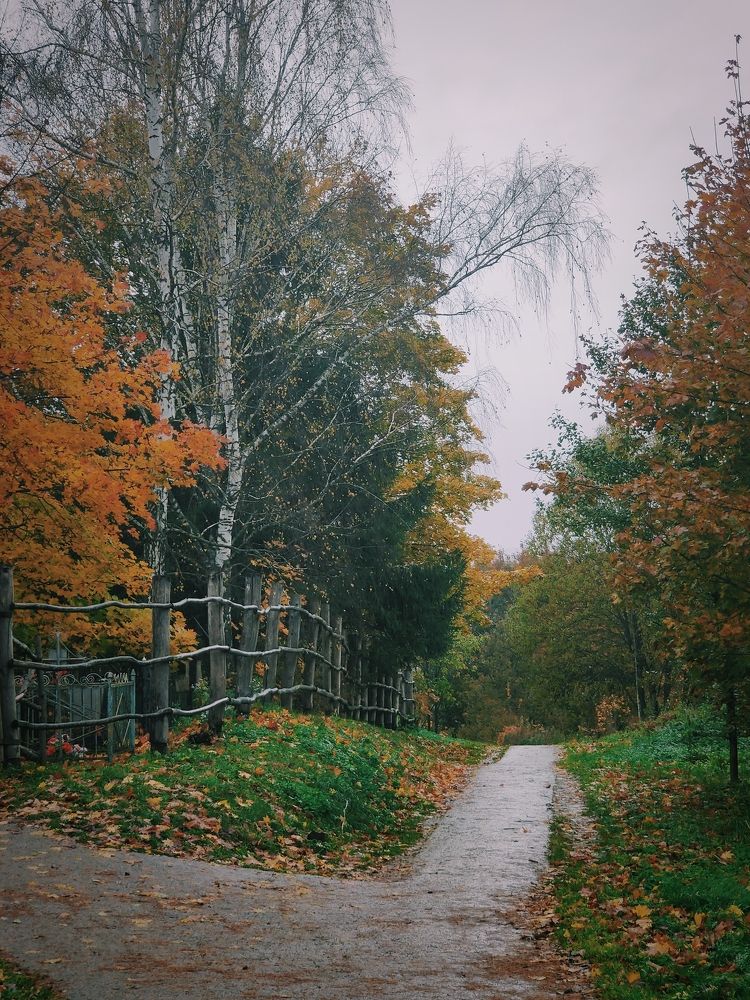 Photograph by Дмитрий Синицын