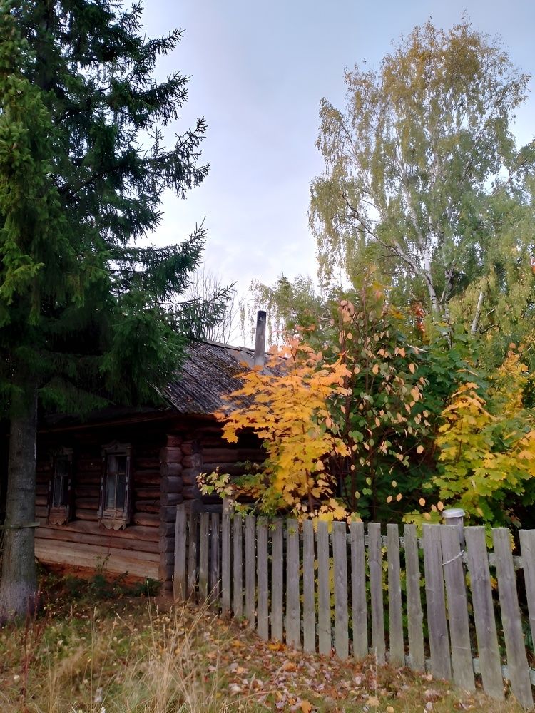 Photograph by Галина