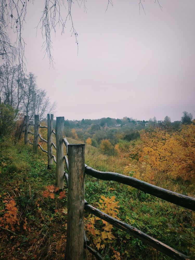 Photograph by Дмитрий Синицын