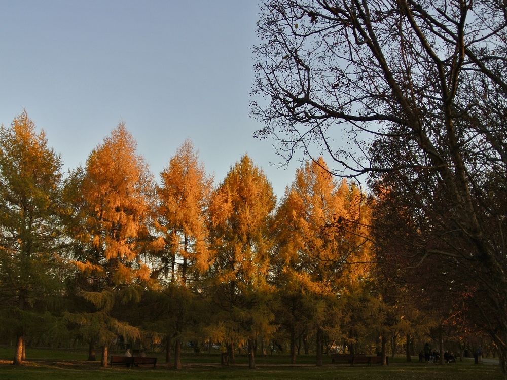 Photograph by Irina Kolotova