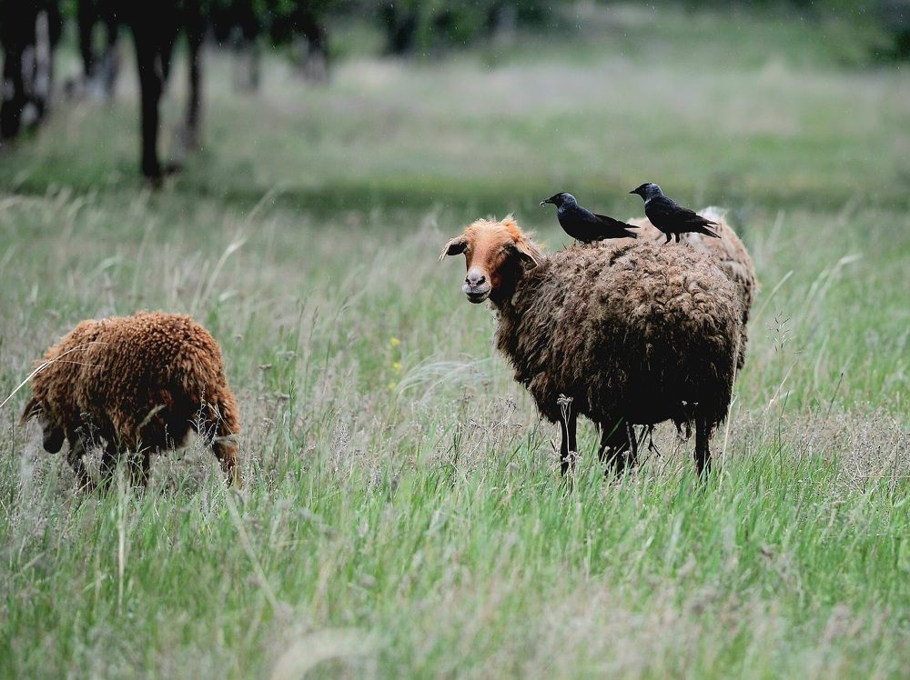 Photograph by Наталья Анисимова