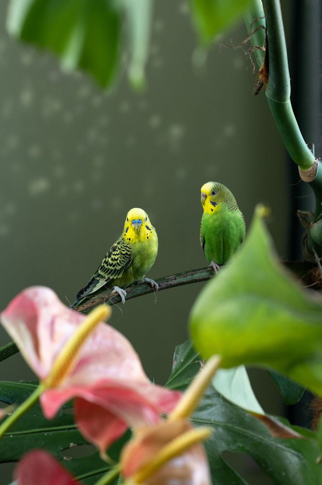 Photograph by Мария Хитрова