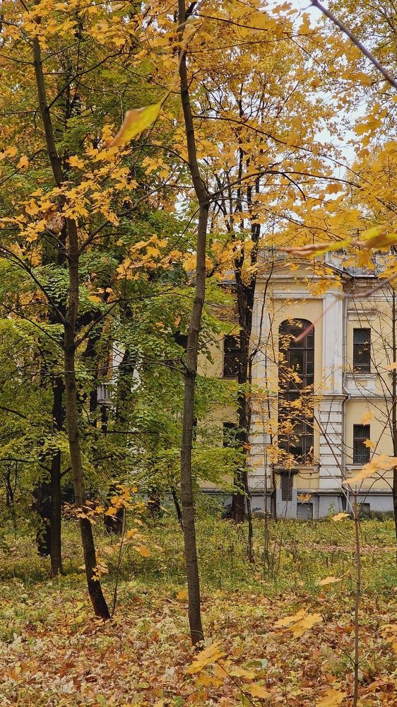 Фотография автора Ольга