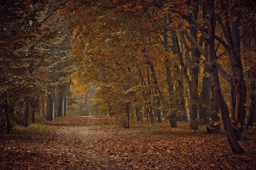 Photograph by PYATNITSKIY ANDREY