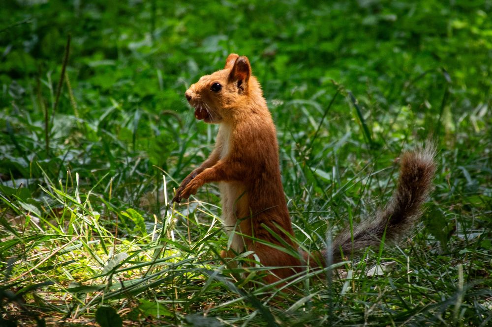 Фотография автора X Fedeeng