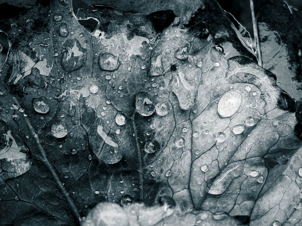 Photograph by Дмитрий Синицын