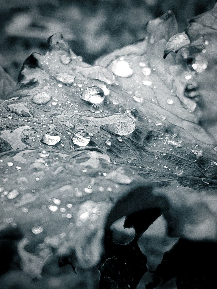 Photograph by Дмитрий Синицын