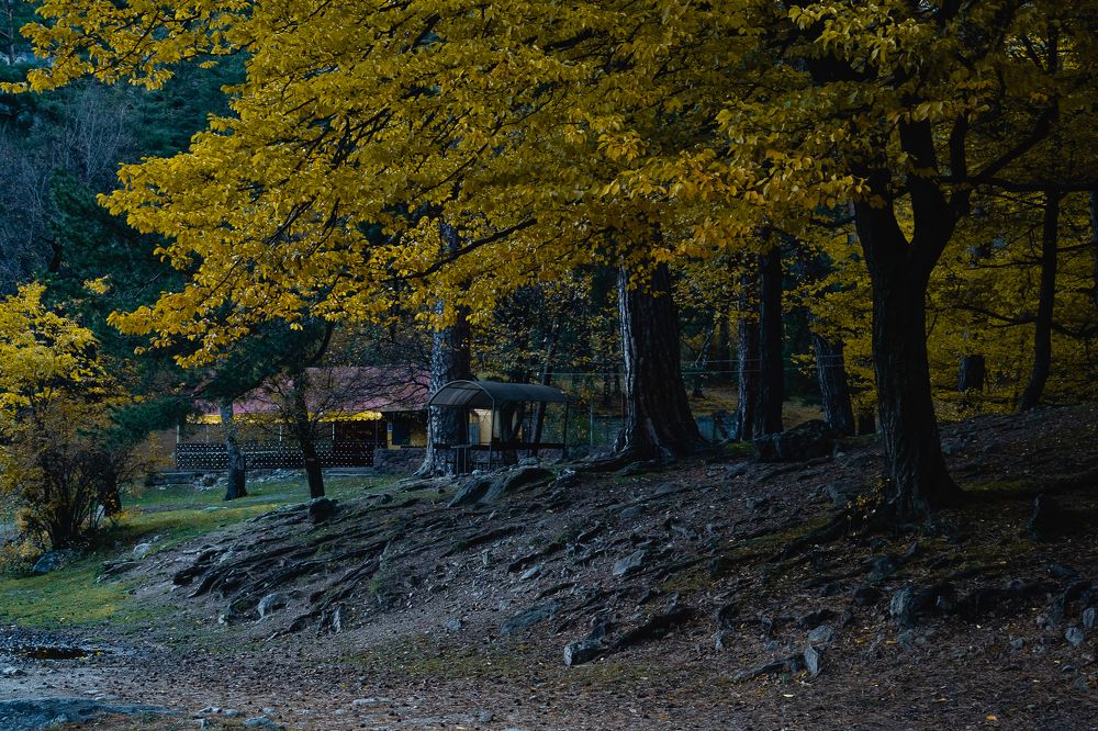 Photograph by Павел Терехов