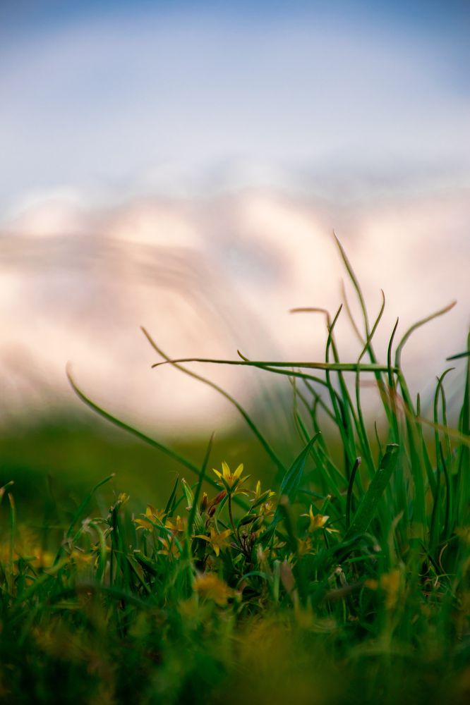 Фотография автора X Fedeeng