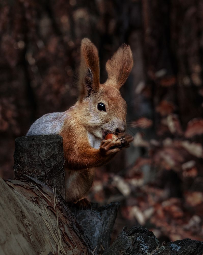 Photograph by Ольга Бакурская