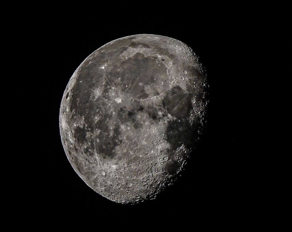 Земная соседка