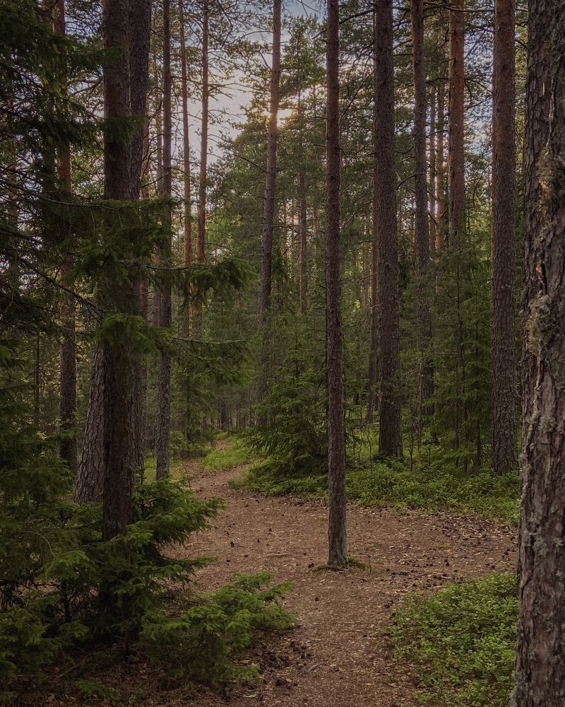 Photograph by Екатерина Николаева