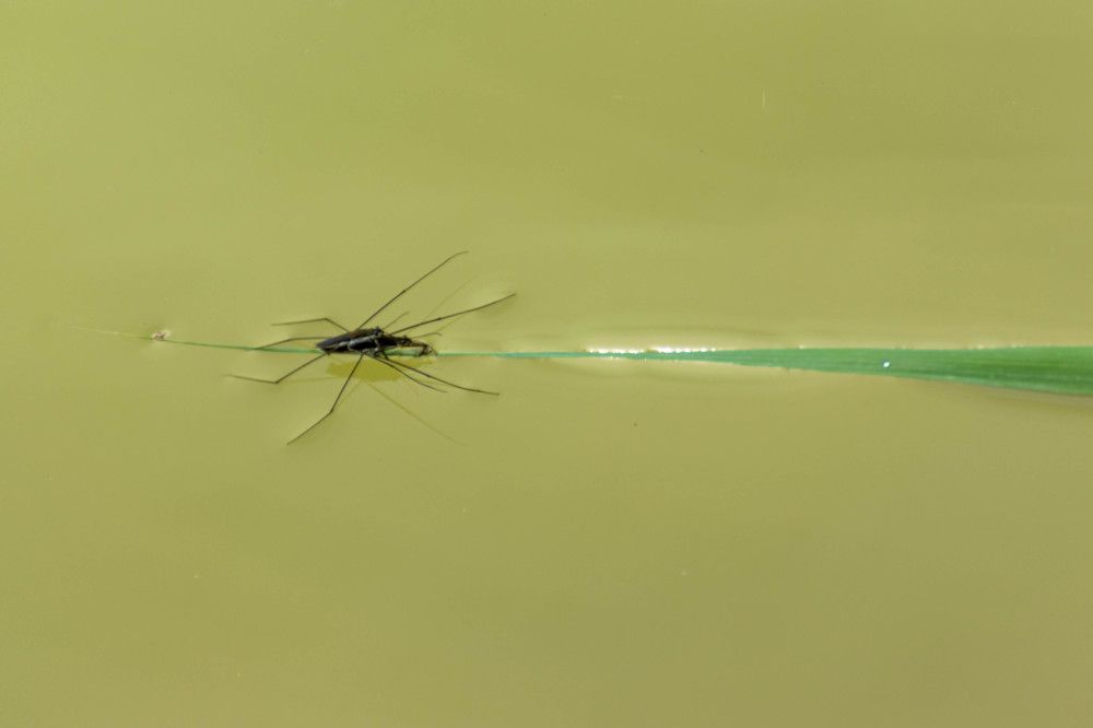 Photograph by Наталья Вялых