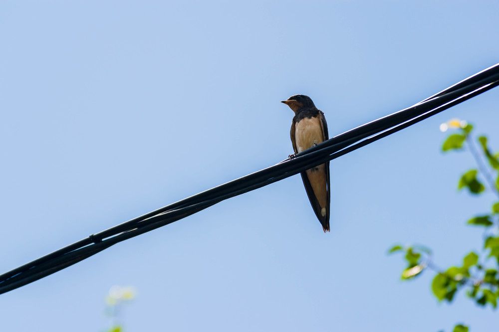 Photograph by Наталья Вялых