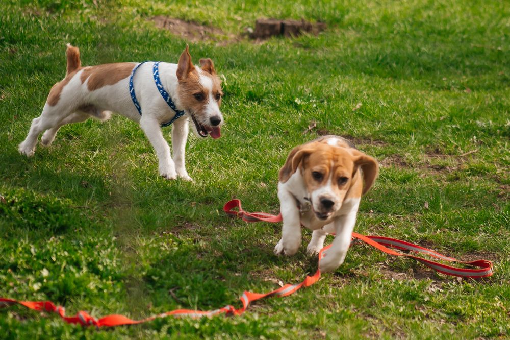 Photograph by Елизавета Можельская