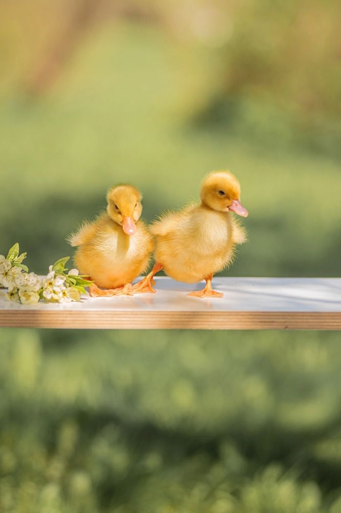 Photograph by Olga Matveeva