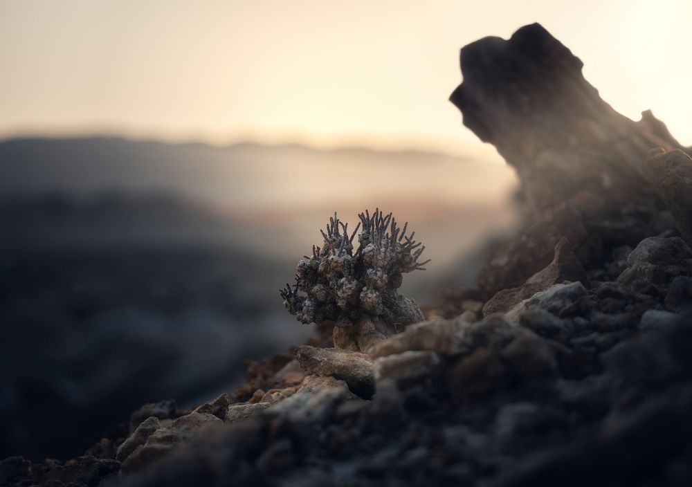 Photograph by Мозжухин Максим