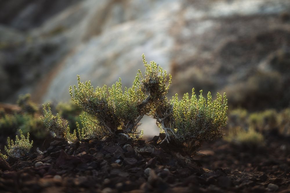 Photograph by Мозжухин Максим