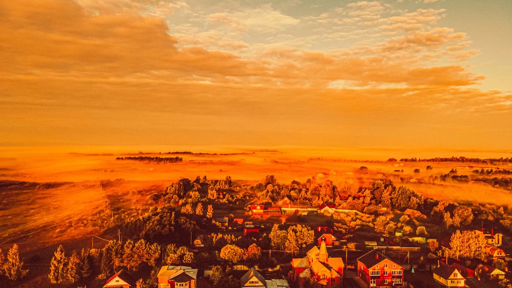 Photograph by Ольга Левакова