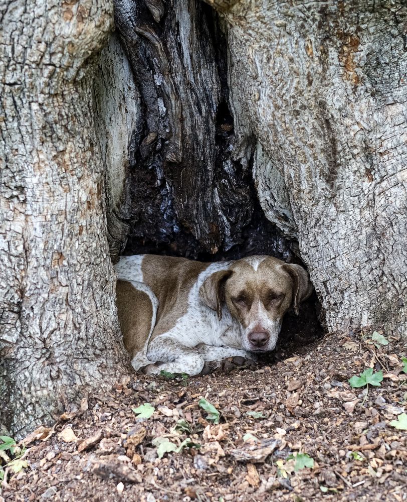 Photograph by Наталья Трофимова
