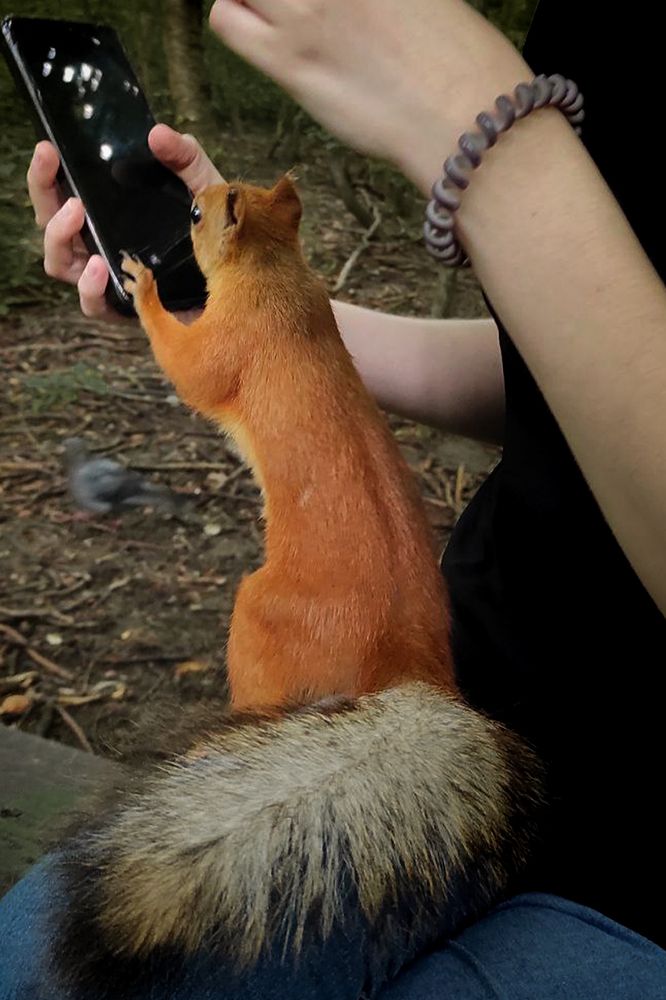 Photograph by Елизавета Можельская