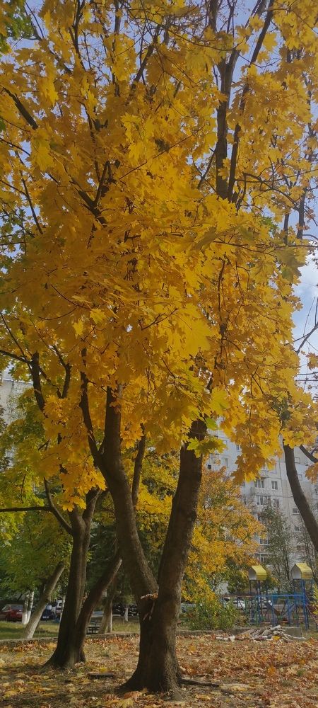 Photograph by Елизавета Можельская