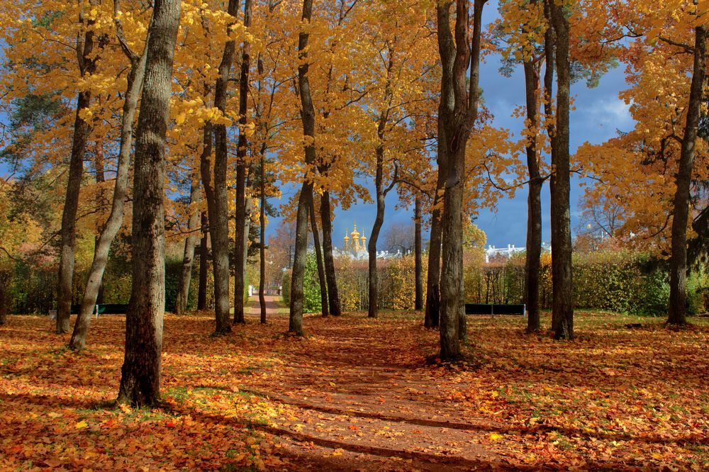 В Александровском парке, Санкт-Петербург.