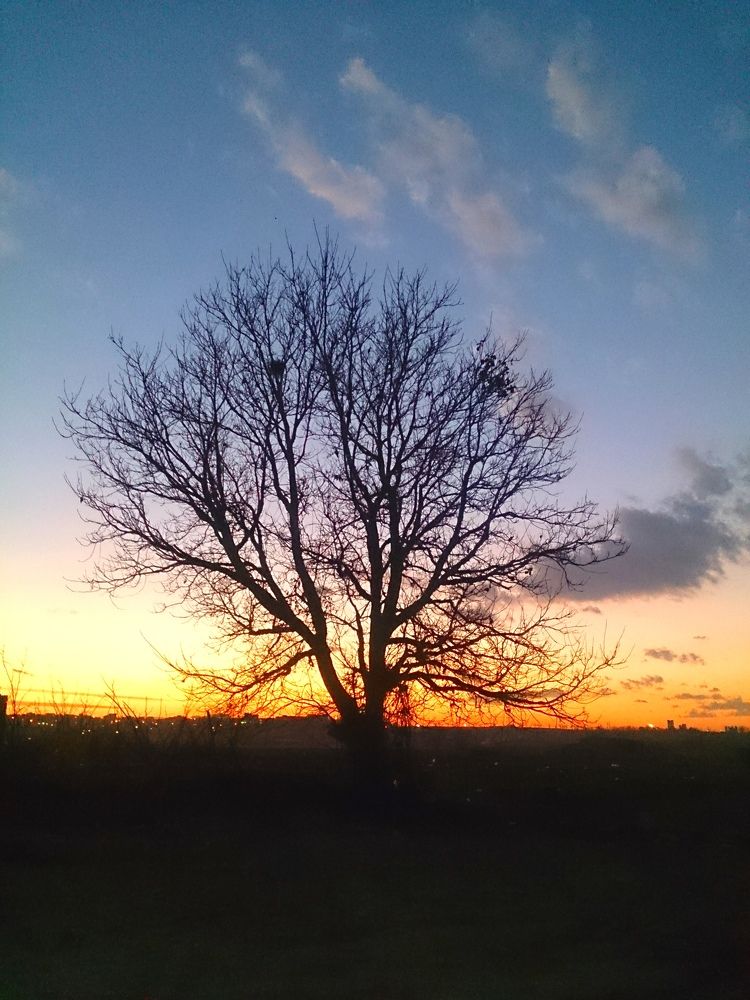 Photograph by m farzolahi