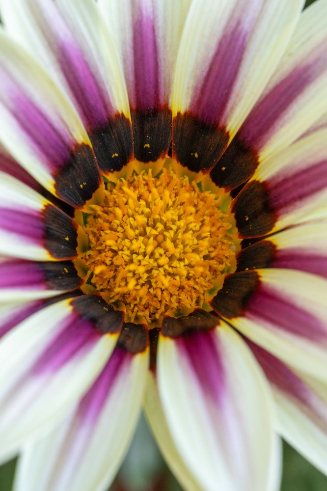 Photograph by Panagiotis Ioannou