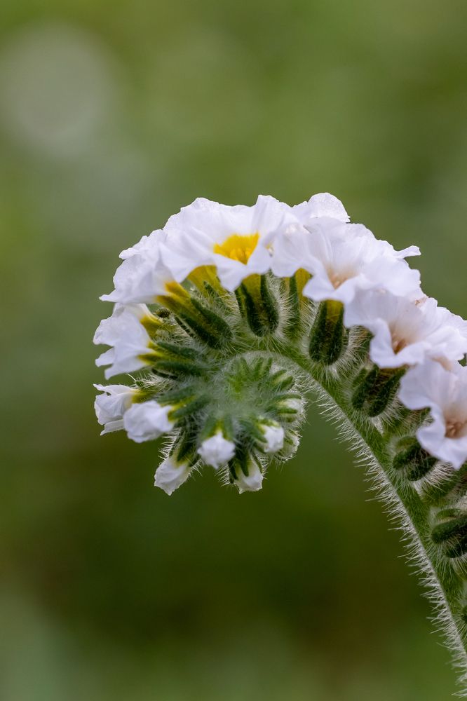 Photograph by Panagiotis Ioannou