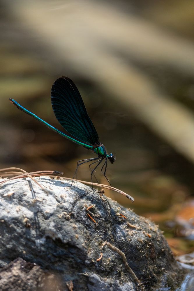 Photograph by Panagiotis Ioannou